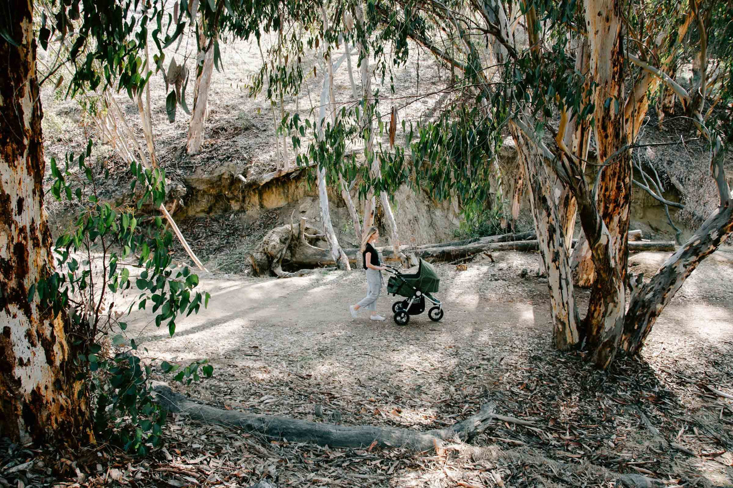 Organic Cotton Bassinet Sheet on Bumbleride Indie All Terrain in Camp Green From Distance